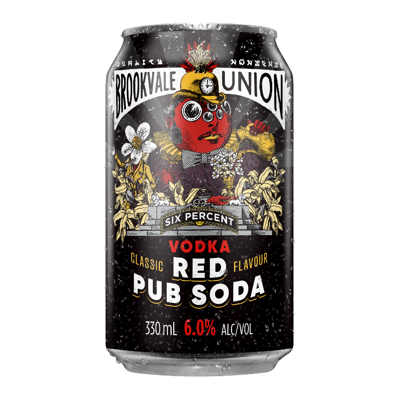 Brookvale Union Red Pub 6% 10 Pack 330mL Cans (HO-BS) Hybrid