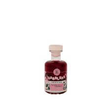 Dabblers Summer Berry Gin 200mL - Thirsty Liquor Tauranga