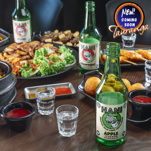 Hani Premuim Soju Lychee Flavour 360mL Bottle