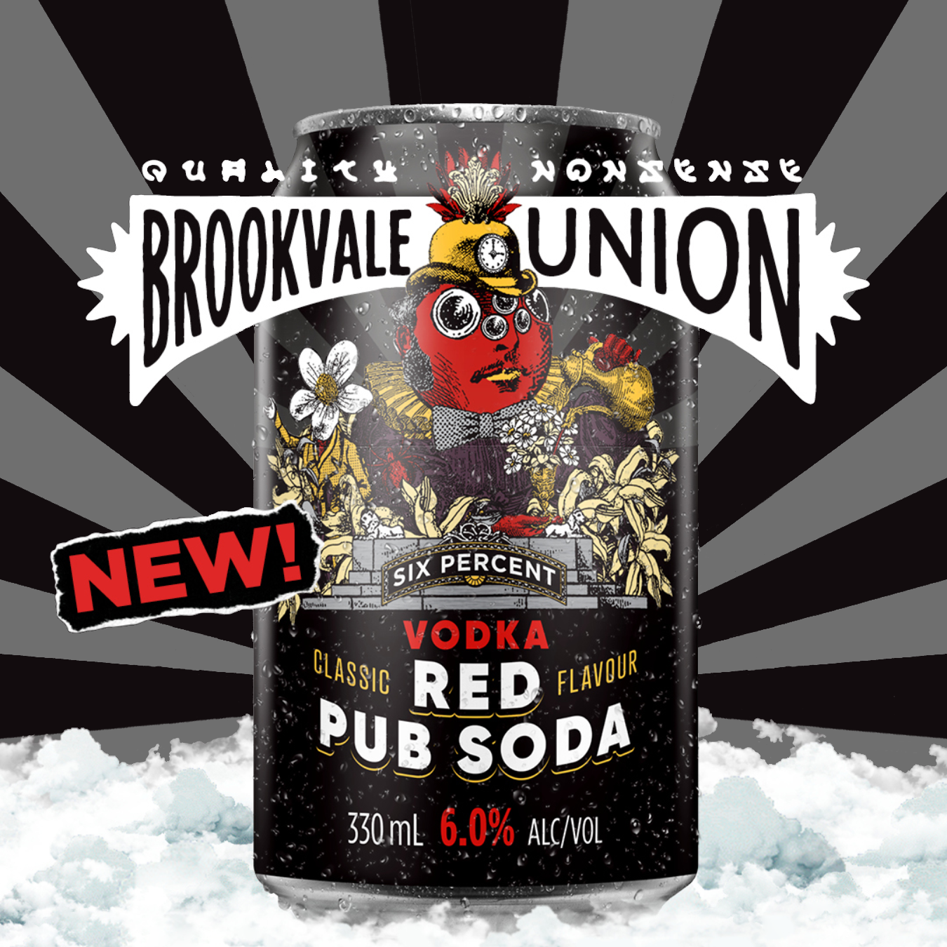 . Brookvale Union Red Pub 6% 10 Pack 330mL Cans(New) (Due End of February )