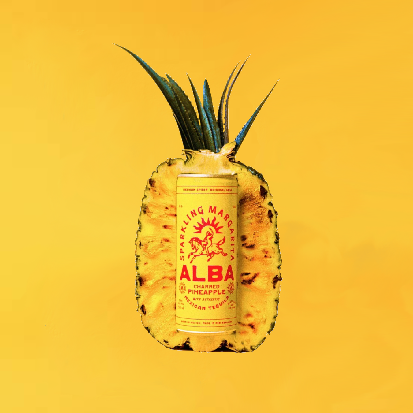 Alba Sparkling Charred Pineapple Margarita 10 Pack 250mL Cans (New)