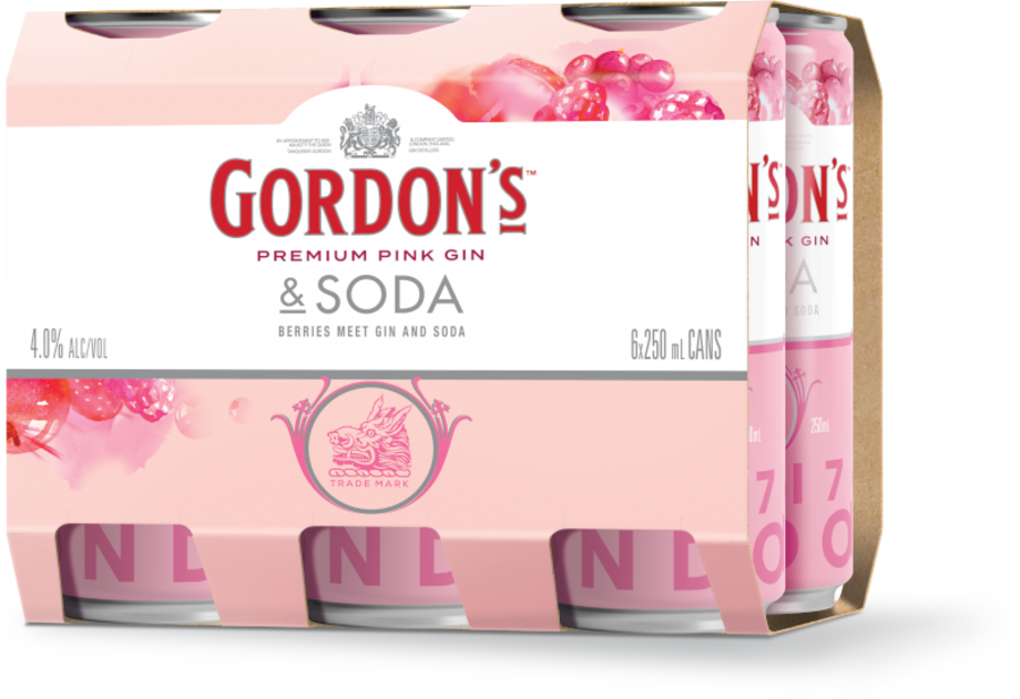 Gordon's Pink Gin & Soda 5.4% 6 Pack 250mL Cans